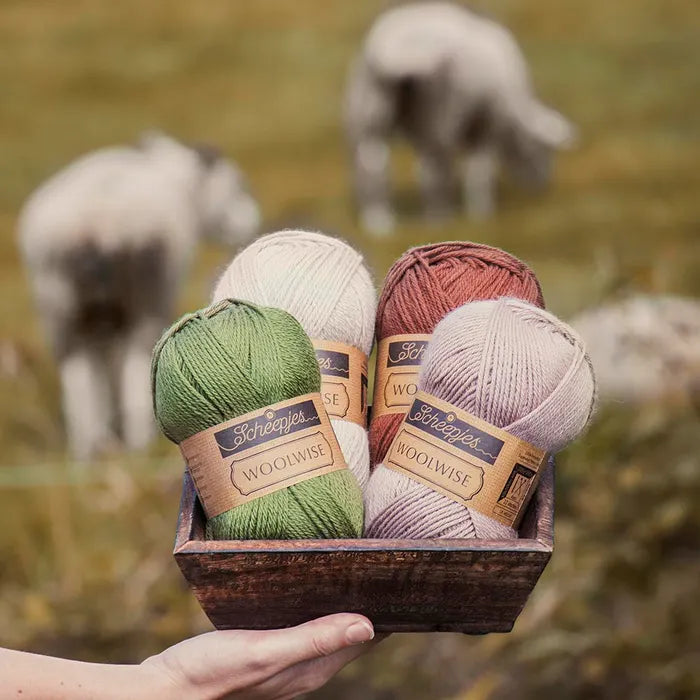 Scheepjes Woolwise 729 - Orchid Pink