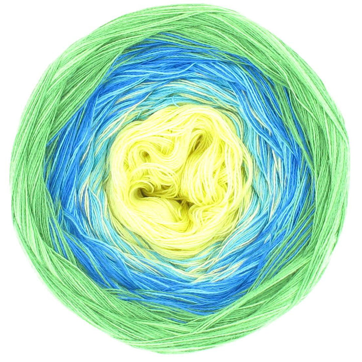 PREORDER Lola Classic Parrot