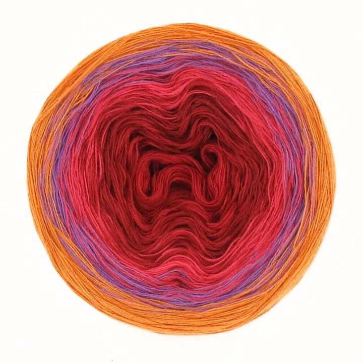 Lola Harmony Tulip Meadow