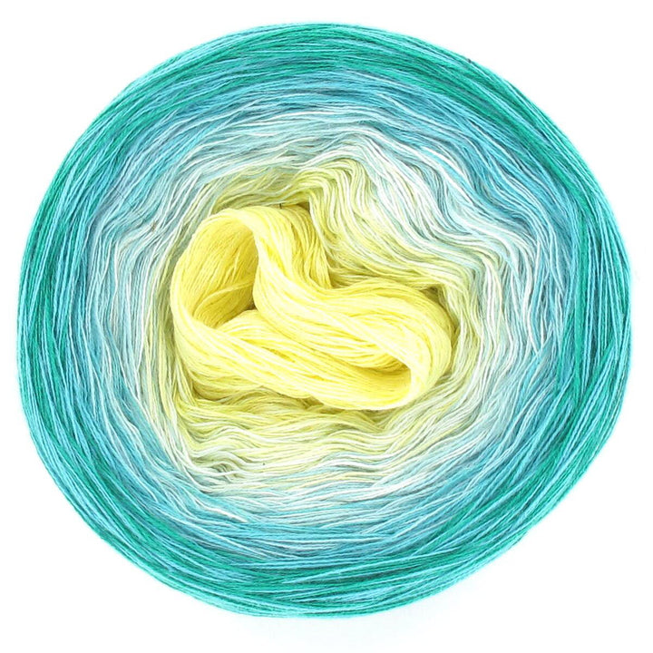 PREORDER Lola In Pictures Lemonade