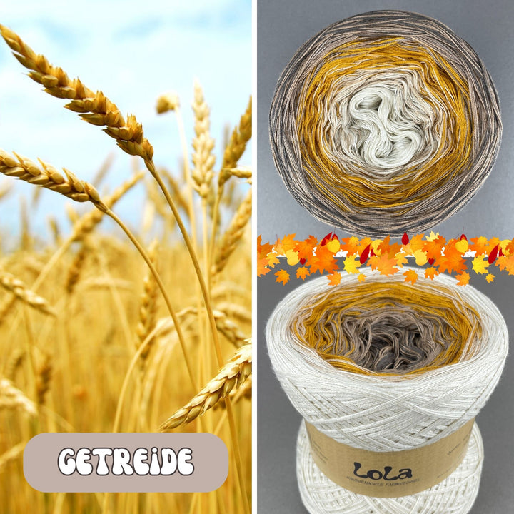 Lola Autumn 2024 - Grain - LIMITED EDITION