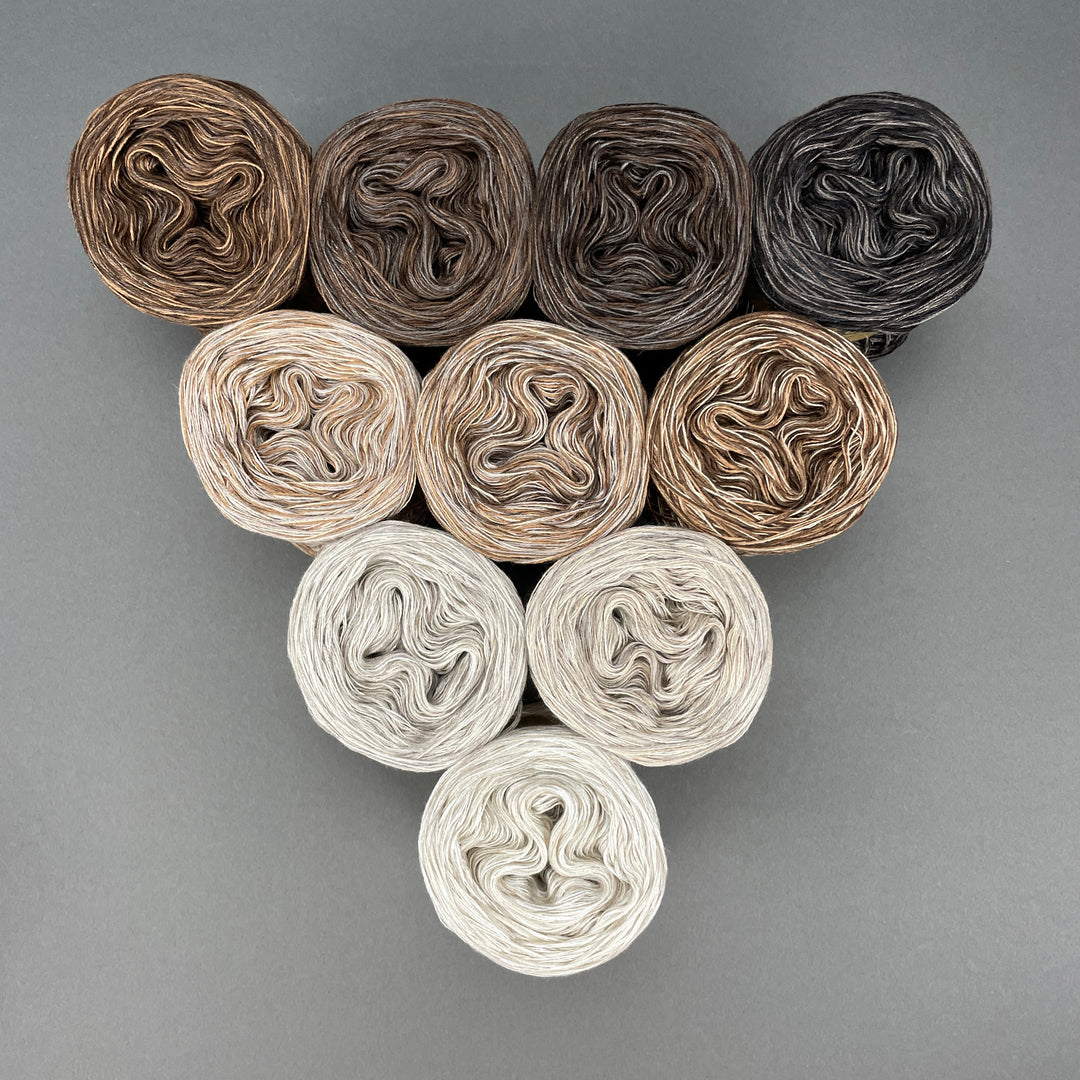 NEW!! Lola Bobbel Boxx Autumn Collection 2025 - Coffee Date - LIMITED EDITION