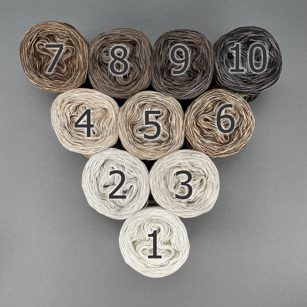 NEW!! Lola Bobbel Boxx Autumn Collection 2025 - Coffee Date - LIMITED EDITION