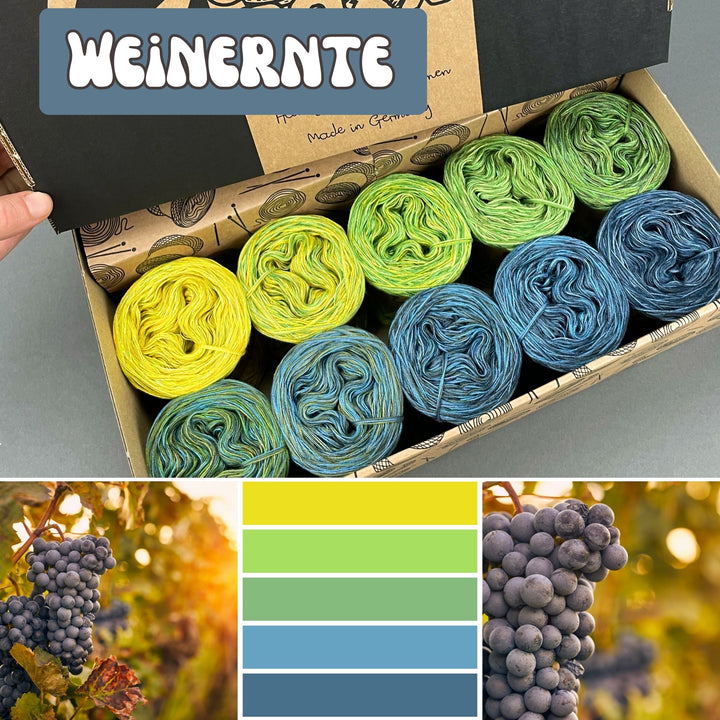 NEW!! Lola Bobbel Boxx Autumn Collection 2025 - Grape Harvest - LIMITED EDITION