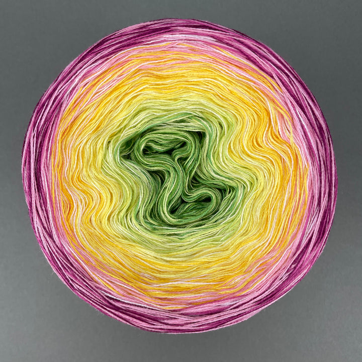 NEW!! Lola Autumn 2025 - Coziness - LIMITED EDITION