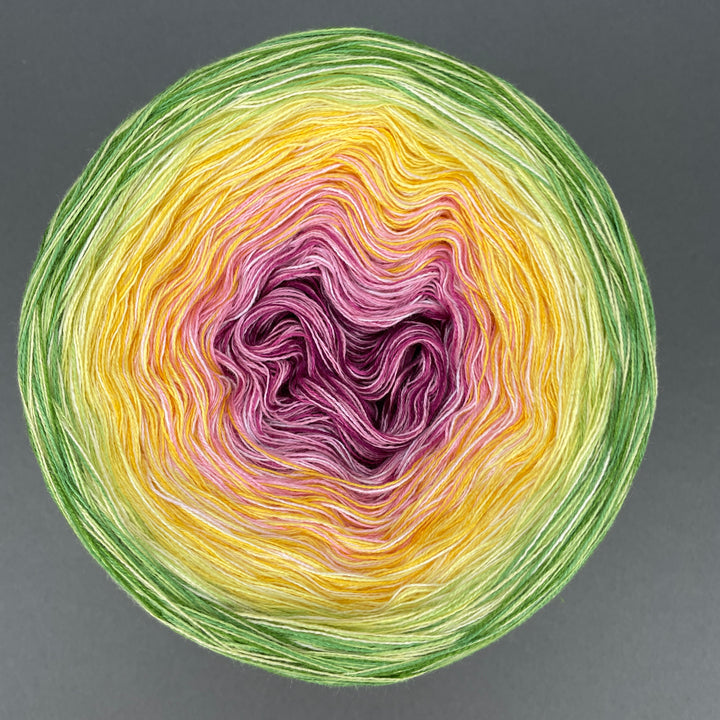 NEW!! Lola Autumn 2025 - Coziness - LIMITED EDITION