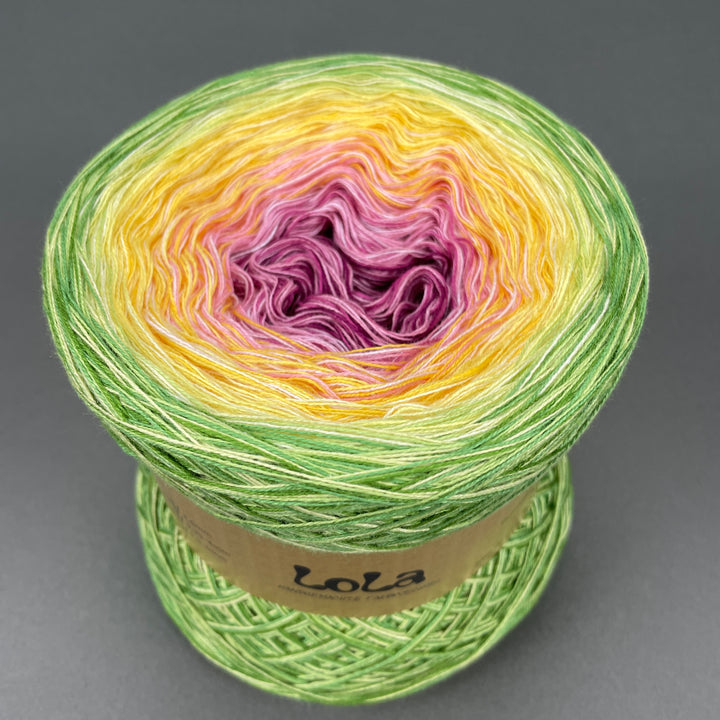 NEW!! Lola Autumn 2025 - Coziness - LIMITED EDITION