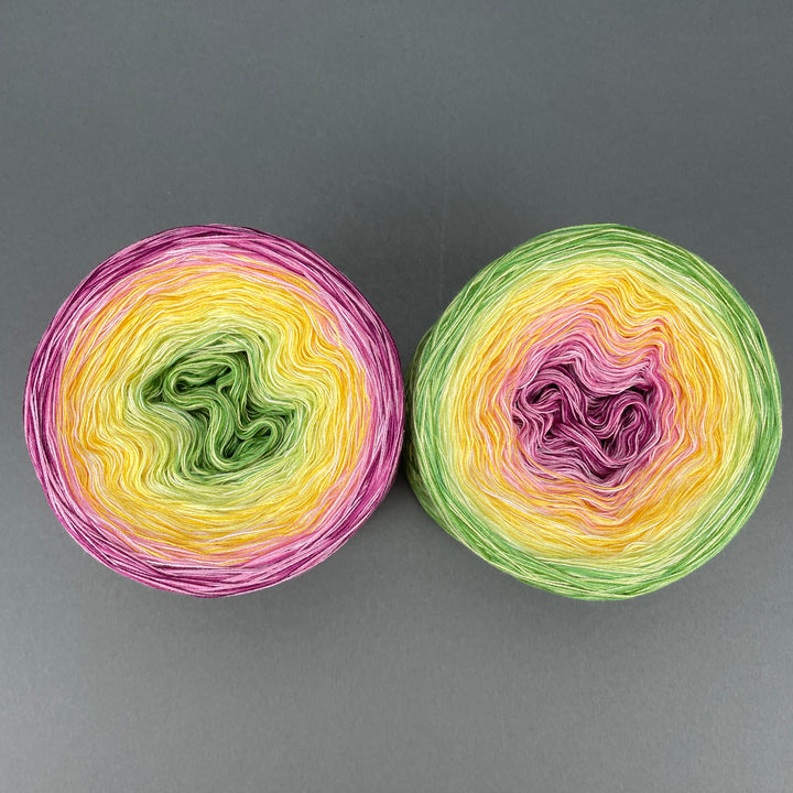 NEW!! Lola Autumn 2025 - Coziness - LIMITED EDITION