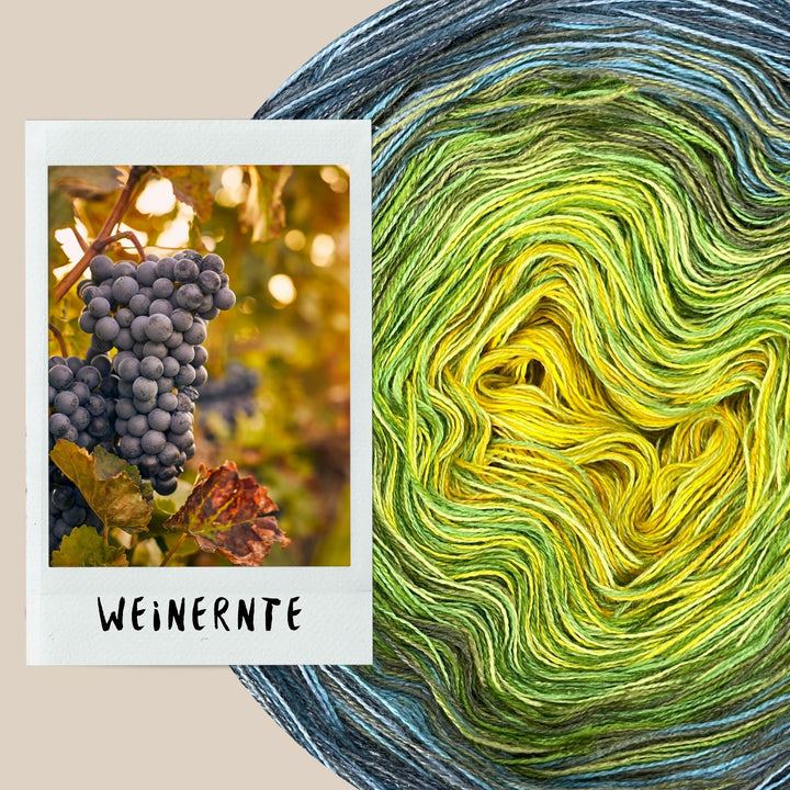 NEW!! Lola Autumn 2025 - Grape Harvest - LIMITED EDITION