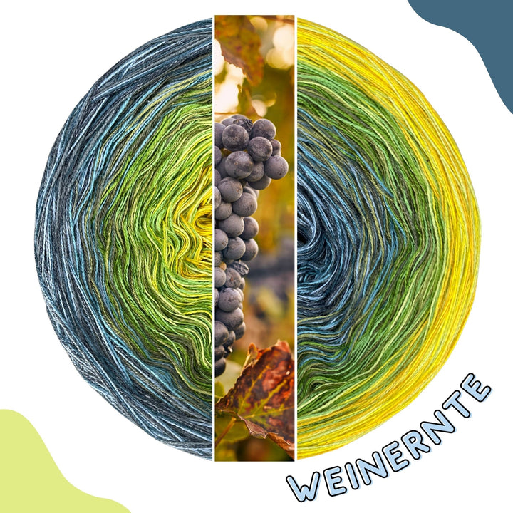 NEW!! Lola Autumn 2025 - Grape Harvest - LIMITED EDITION