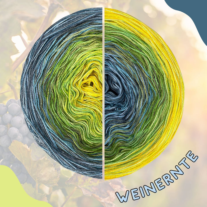 NEW!! Lola Autumn 2025 - Grape Harvest - LIMITED EDITION