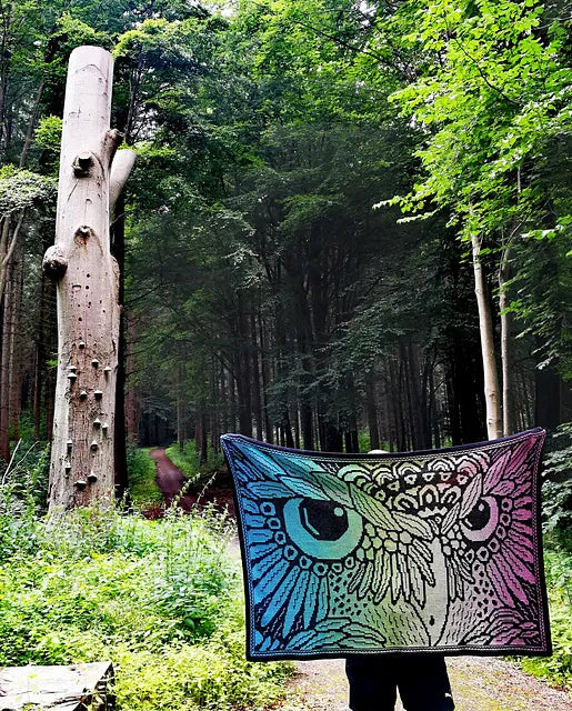 Noctua the Night Owl By Mette Hesselbjerg