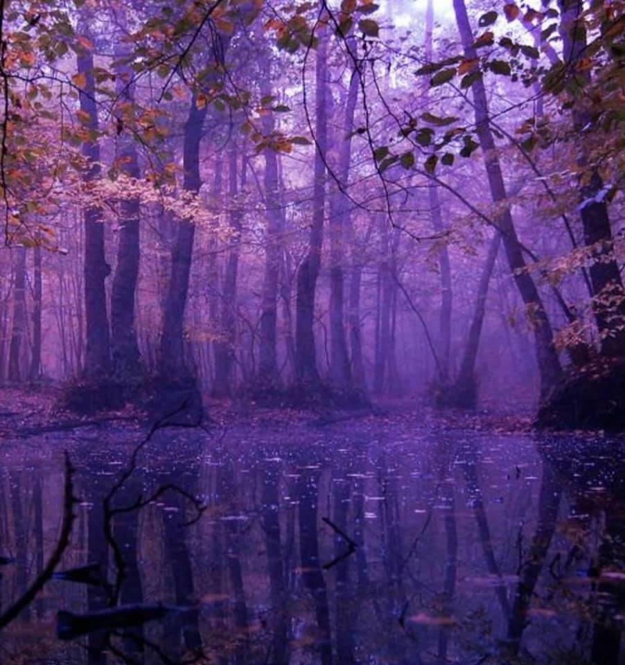 PREORDER BMY Design Series - Mystical Secrets designed by Kayla Gilmore