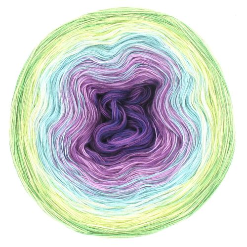 Lola 8 Colours Allium