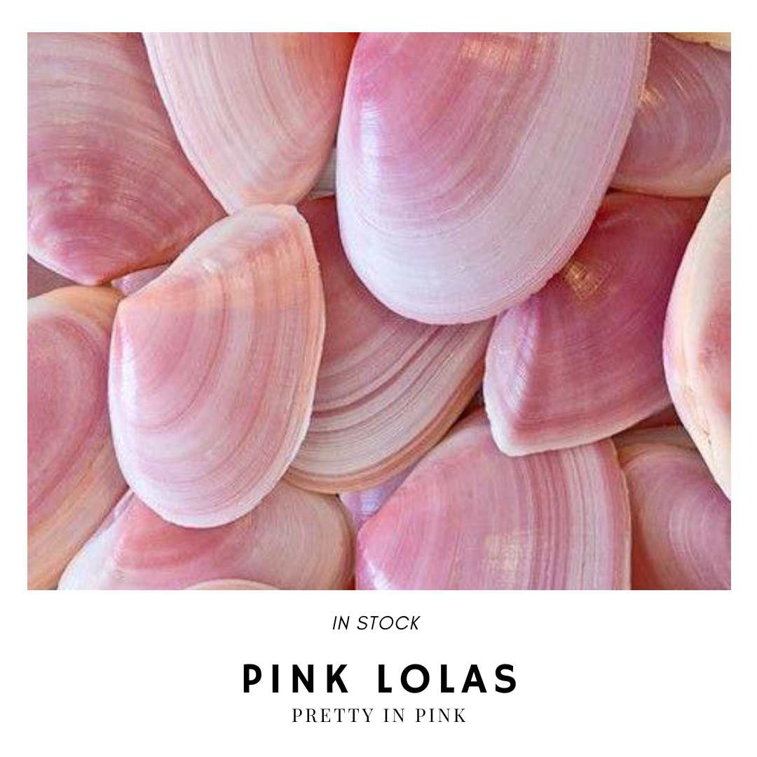 Lola Tickled Pink
