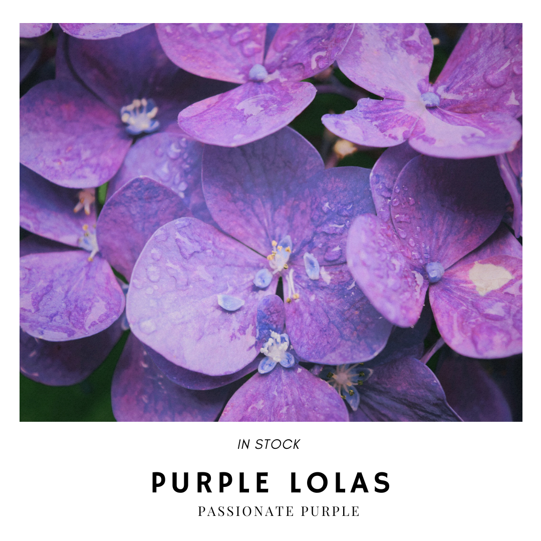 Lola Purple Please Me