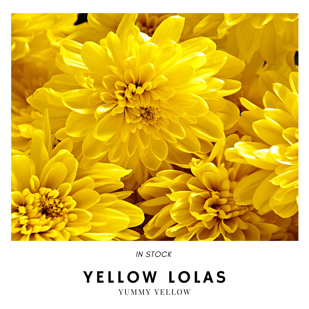 Lola Yummy Yellow