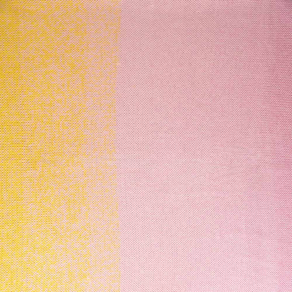 Scheepjes Whirl 796 Meringue Serenade