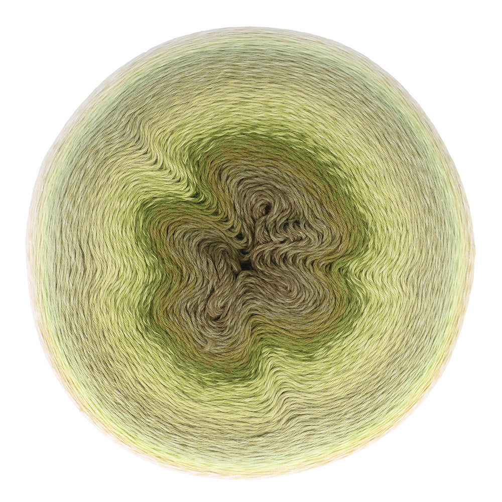 Scheepjes Mega Whirl - 401 Moodychrome