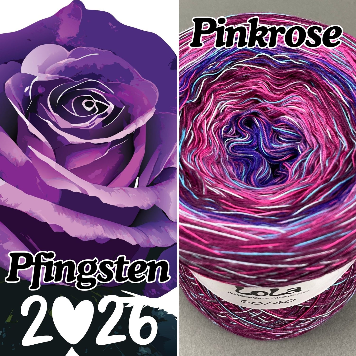 PREORDER Lola Pentecost Rose 2026