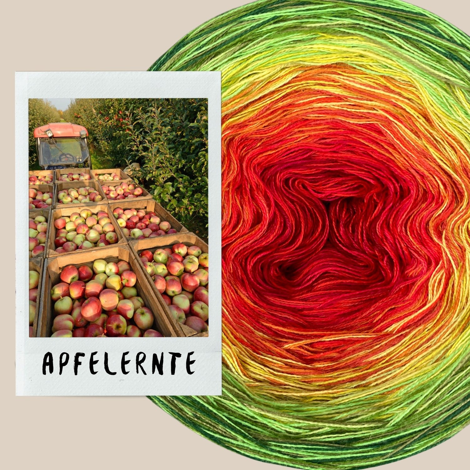 NEW!! LIMITED EDITION AUTUMN 2026 - Apple Harvest