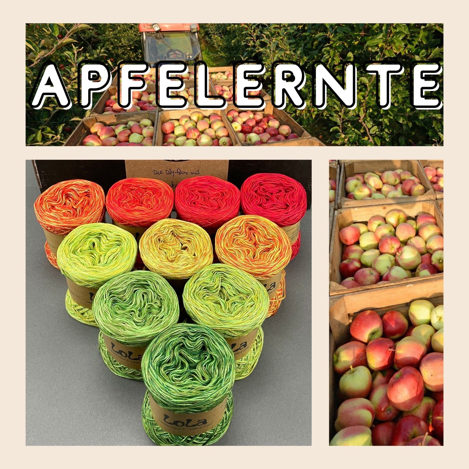 NEW!! LIMITED EDITION SUMMER 2026 - Apple Harvest Bobbel Boxx