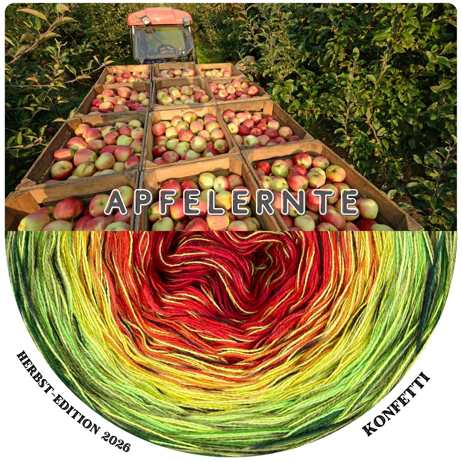 NEW!! LIMITED EDITION TWEED SUMMER 2026 - Apple Harvest