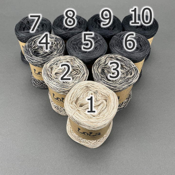 NEW!! Lola Bobbel Boxx CHRISTMAS 2025 - Gold Sprinkles - LIMITED EDITION