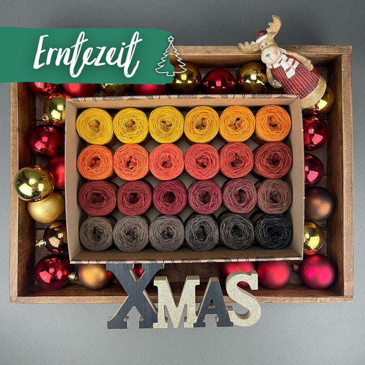 AVAILABLE NOW The Ultimate Advent Calendar 2024 LIMITED EDITION -  LOLA VERSION