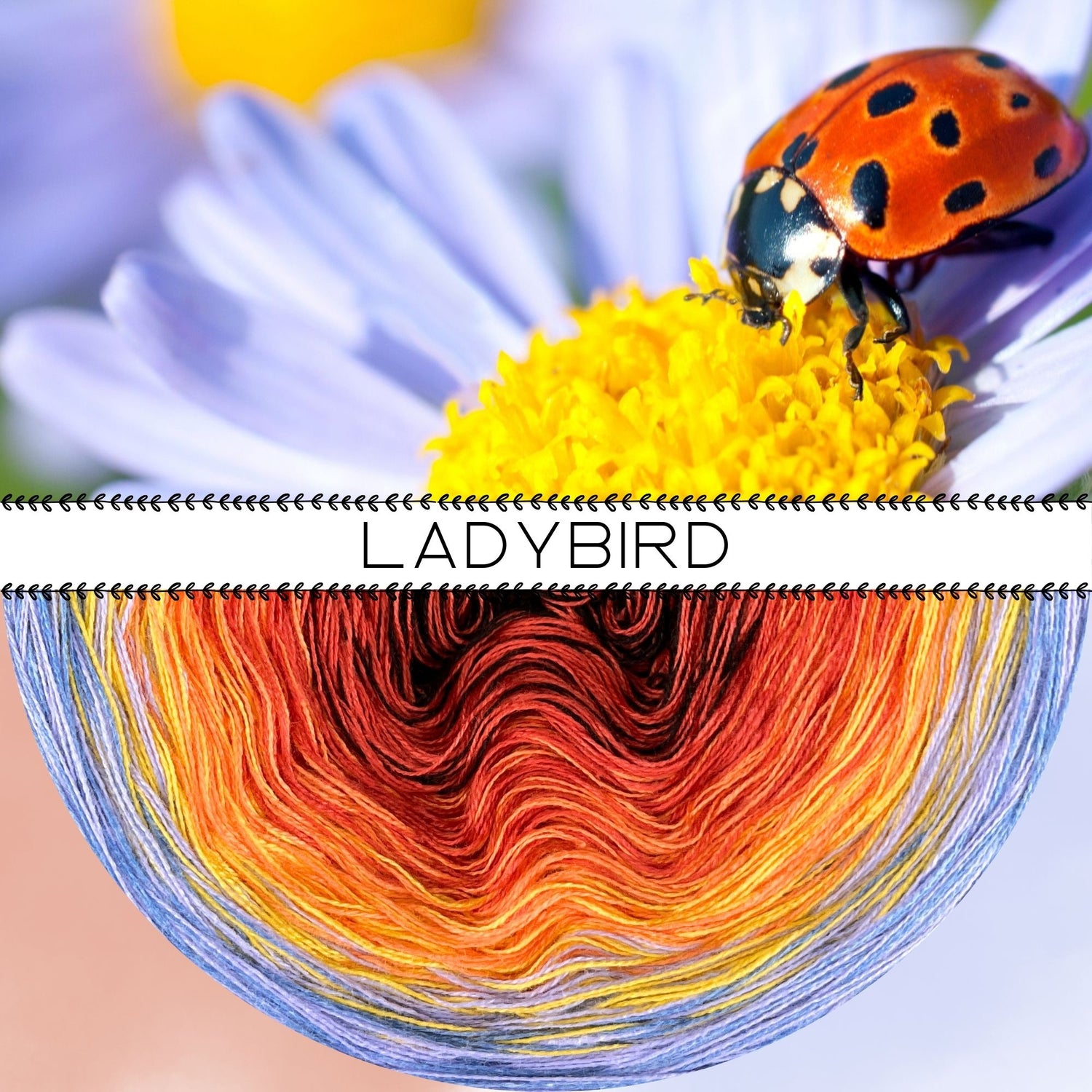 NEW!! LIMITED EDITION SPRING 2026 - Lola Ladybird