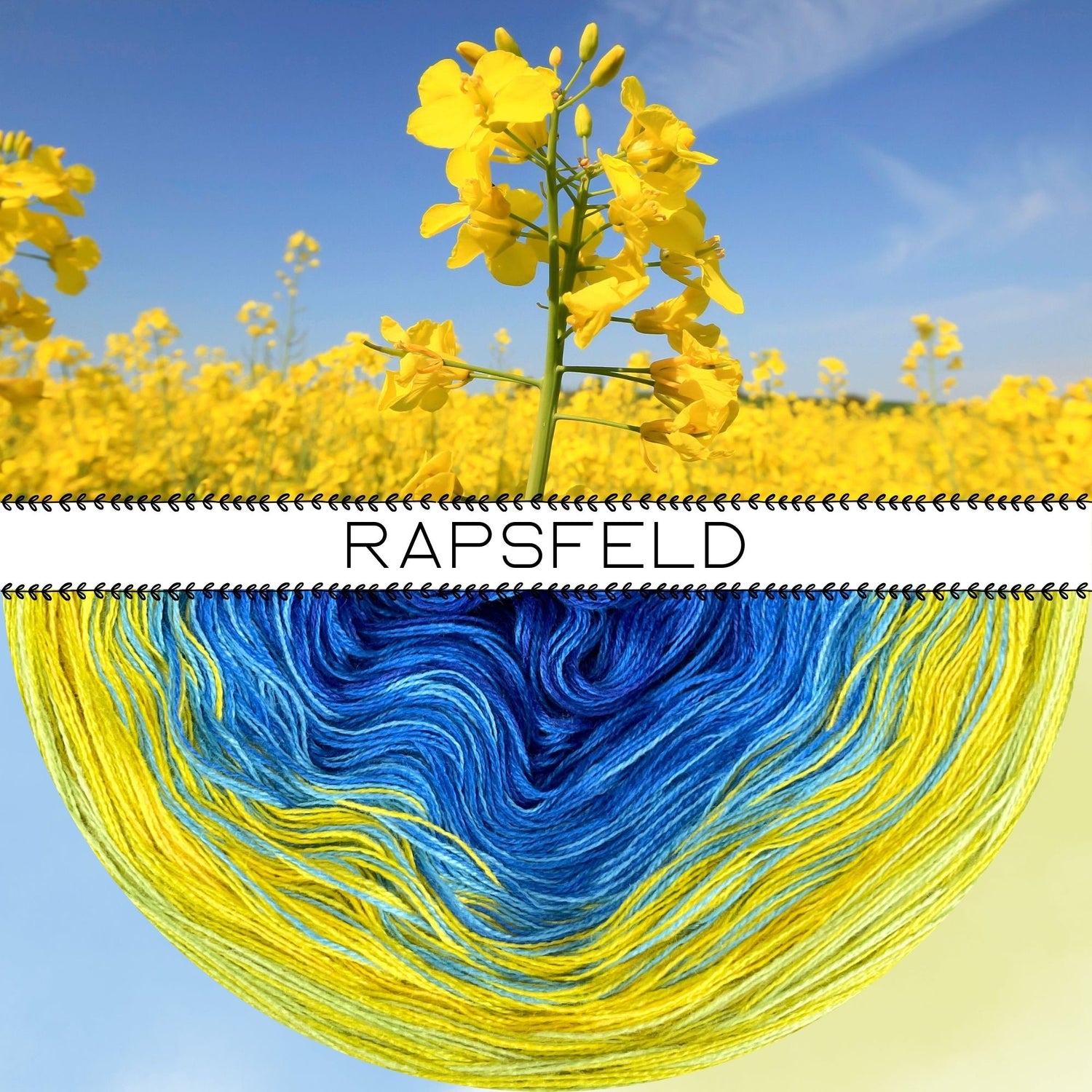 NEW!! LIMITED EDITION SPRING 2026 - Lola Canola Field