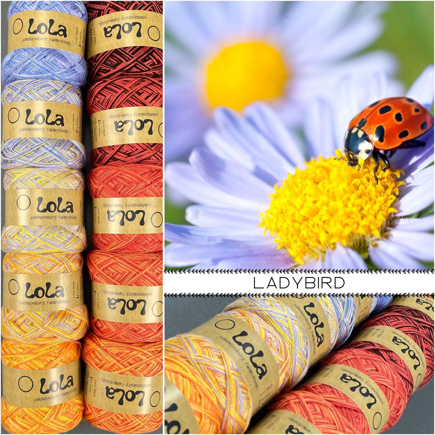 NEW!! LIMITED EDITION SPRING 2026 - Ladybird - Charms