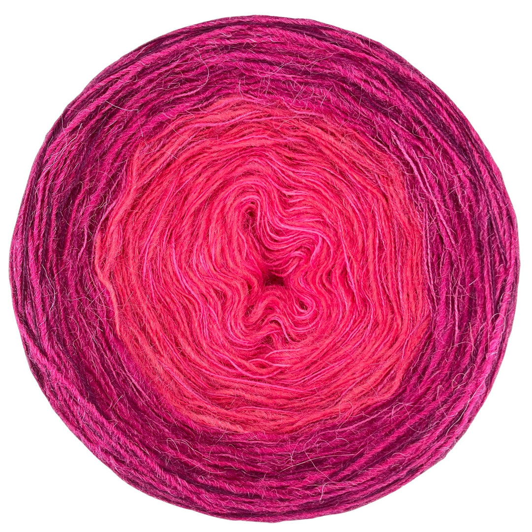 Maya Meets Lola Gradient Cake - Sea Thrift