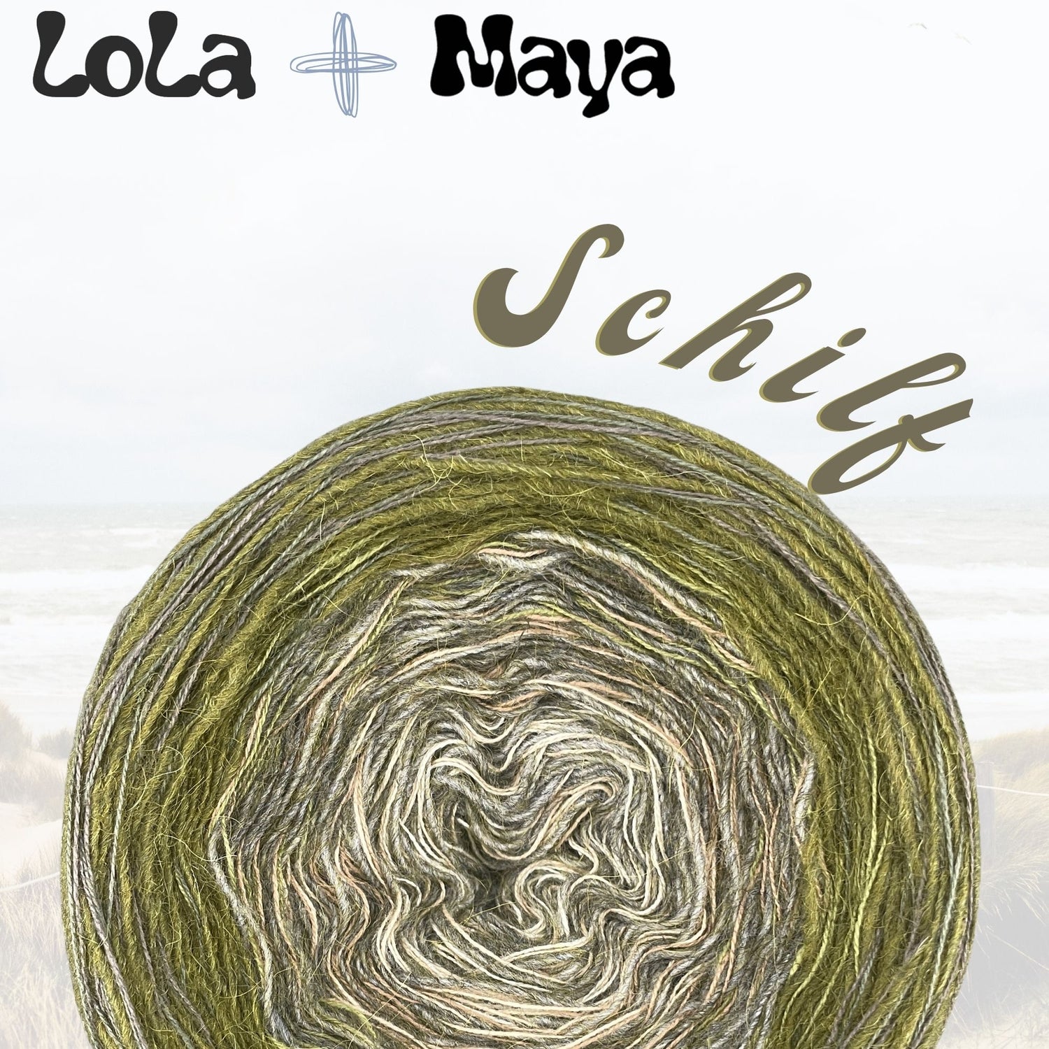 Maya Meets Lola Gradient Cake - Reed