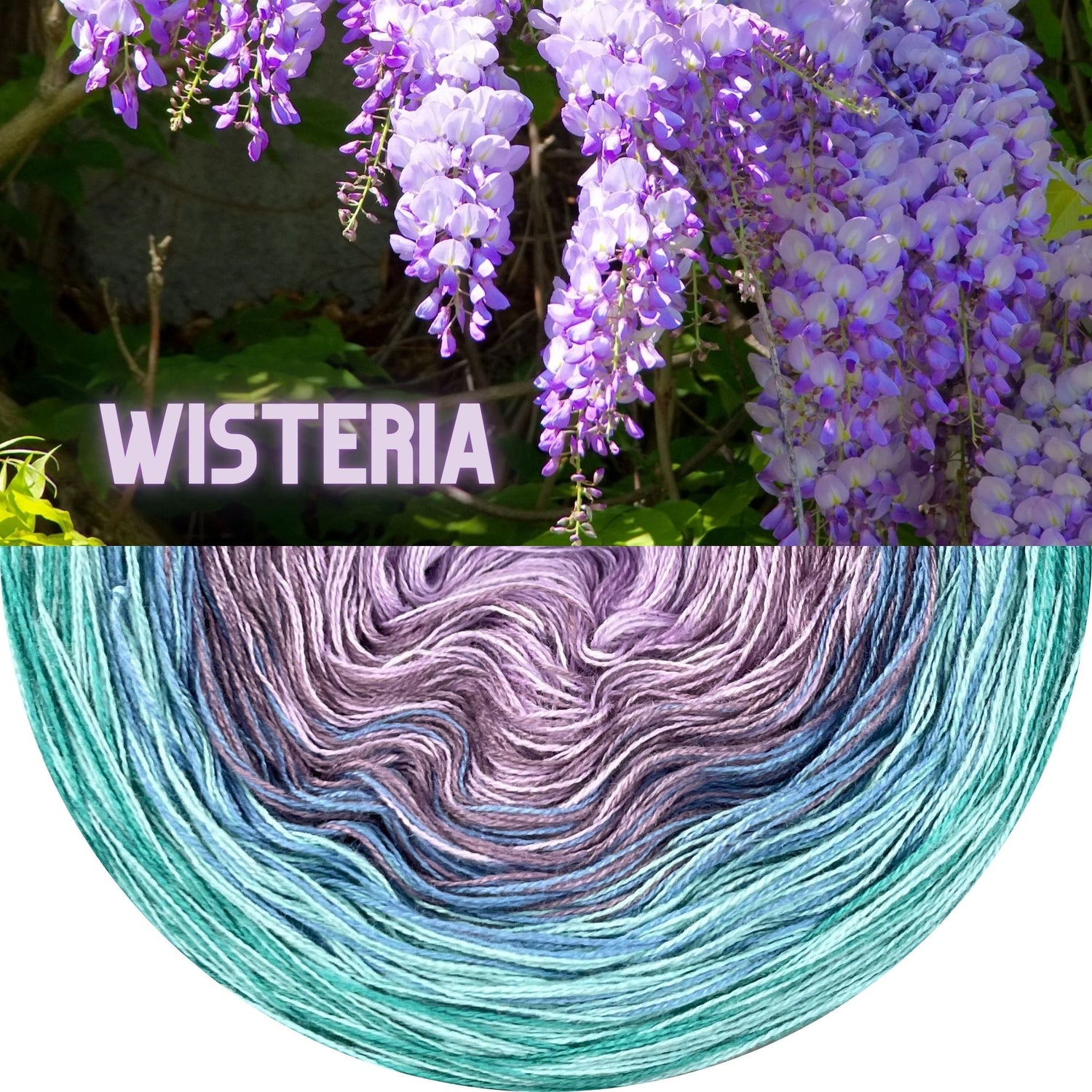 Lola Classic Wisteria