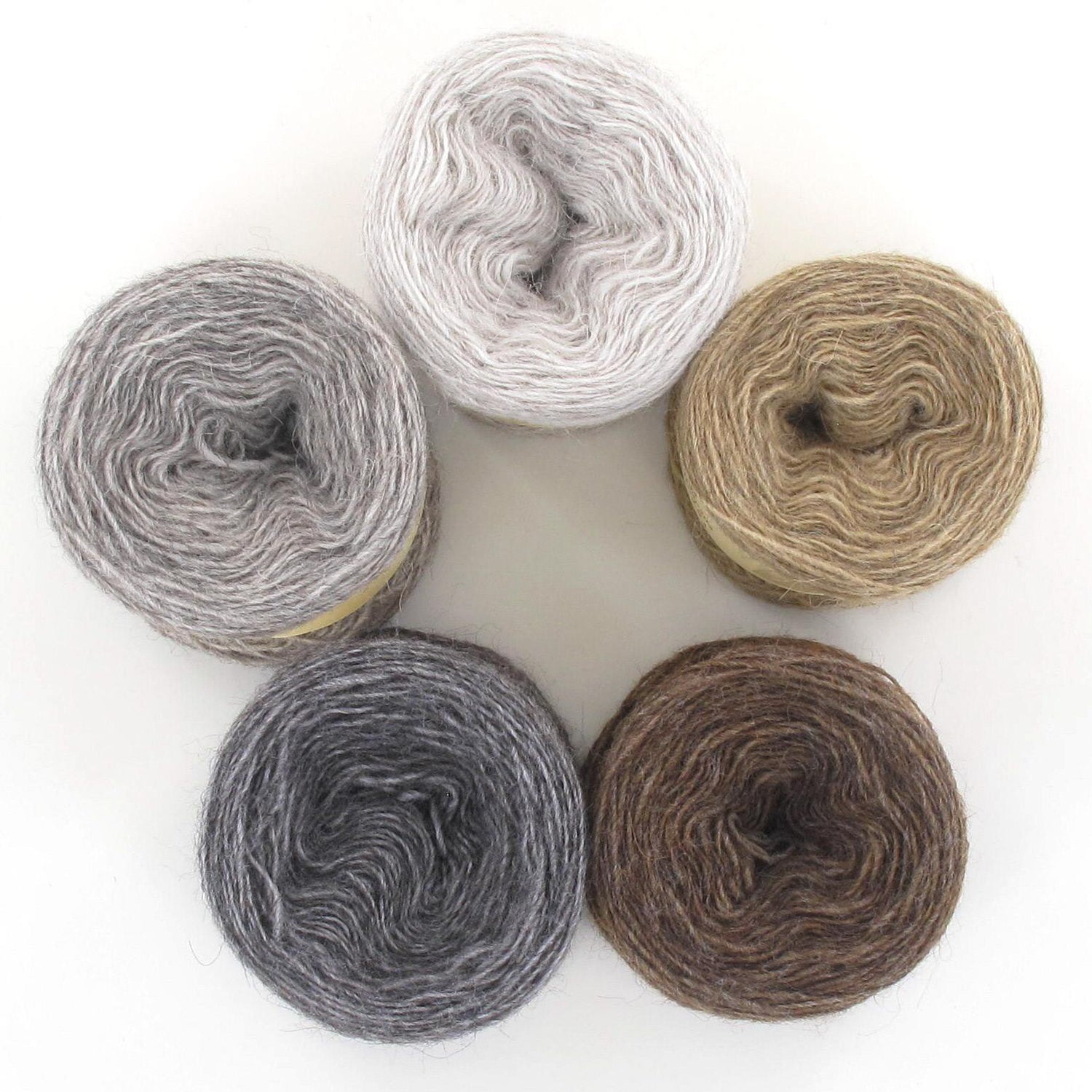 Maya Prism Set - Coffee Break