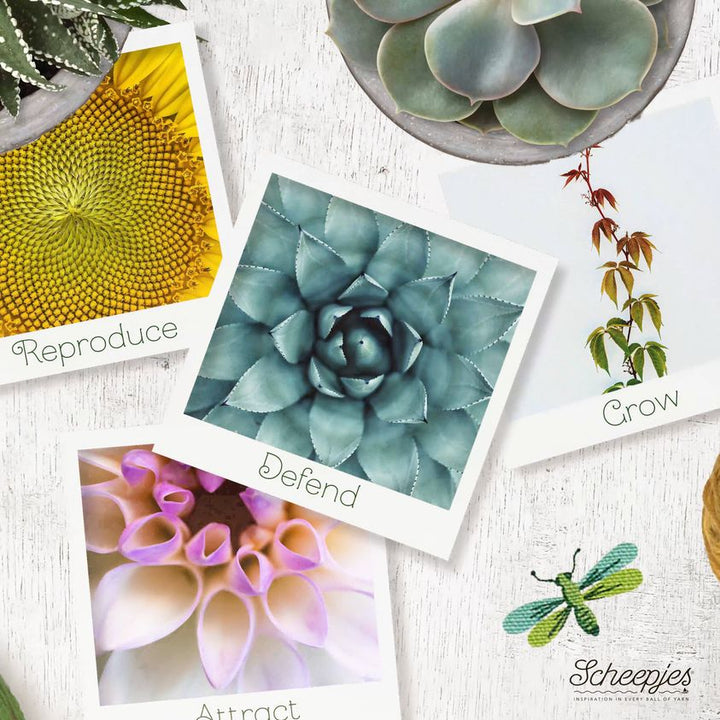 PRICE DROP!! Scheepjes YARN Bookazine no. 11 Macro Botanica