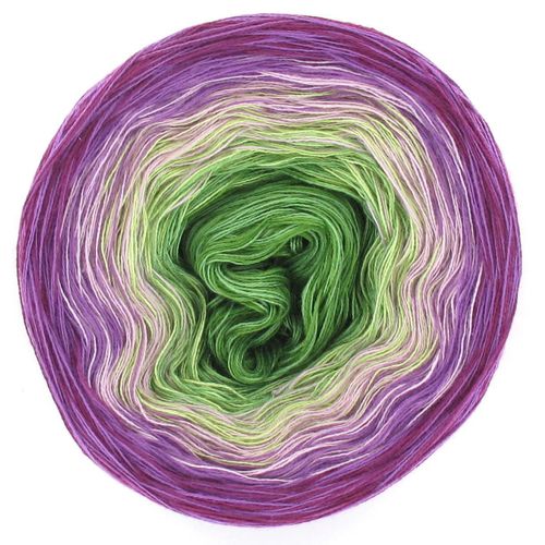 Lola Classic Lavender Field