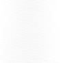 #00 Lola Solo White Various Sizes